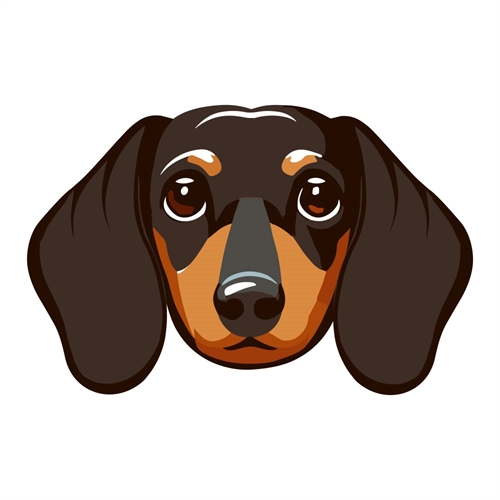 Dog Lovers Theme Dachshund Dog Face Transparent Sticker
